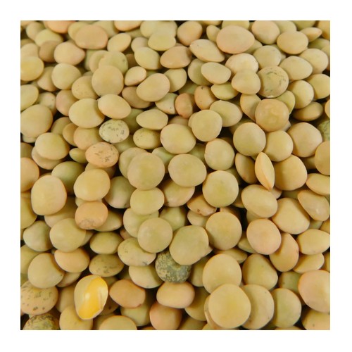 Lenteja Jupasa 500 Gr